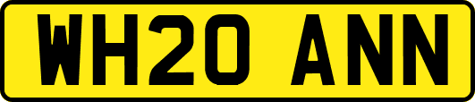 WH20ANN