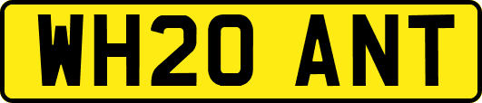 WH20ANT