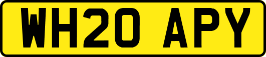 WH20APY