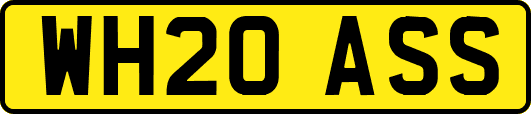 WH20ASS