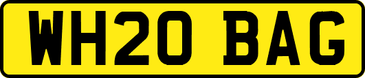 WH20BAG