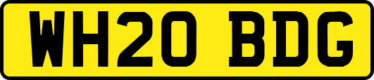 WH20BDG