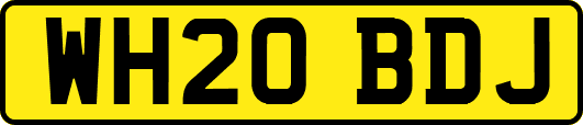 WH20BDJ