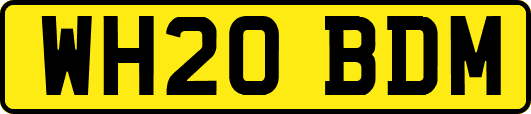 WH20BDM