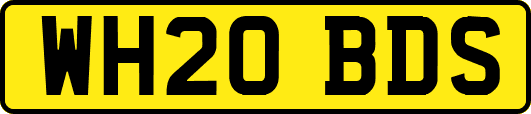 WH20BDS
