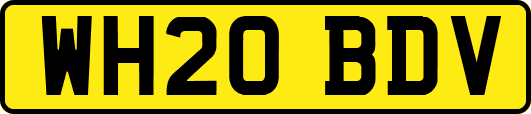 WH20BDV