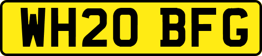 WH20BFG