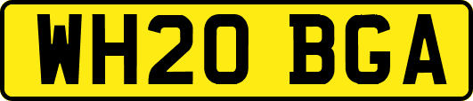 WH20BGA