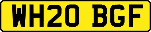 WH20BGF