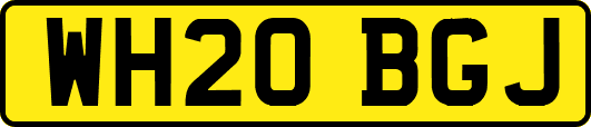 WH20BGJ