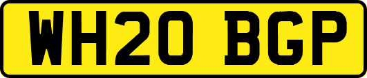WH20BGP