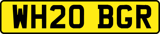 WH20BGR