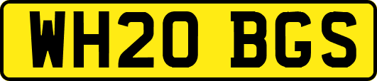 WH20BGS