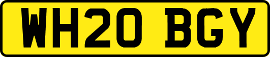 WH20BGY