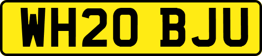 WH20BJU