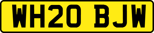 WH20BJW
