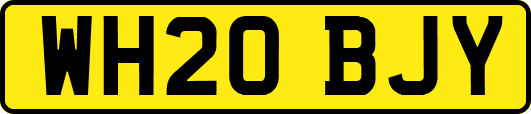 WH20BJY