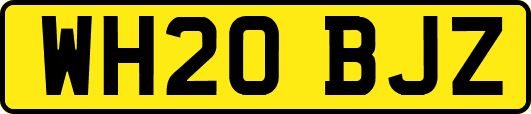 WH20BJZ