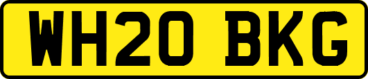WH20BKG
