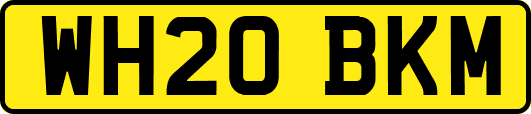 WH20BKM