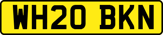 WH20BKN