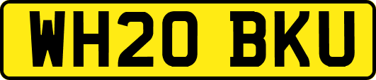WH20BKU