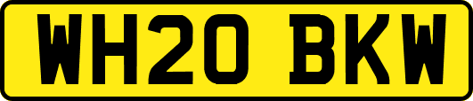 WH20BKW