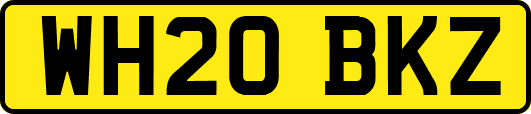 WH20BKZ