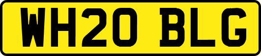 WH20BLG