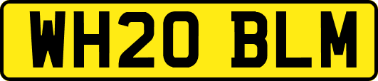 WH20BLM