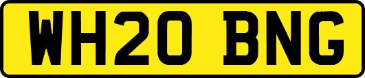 WH20BNG