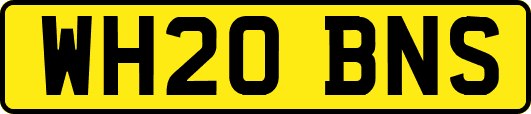 WH20BNS