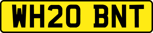 WH20BNT