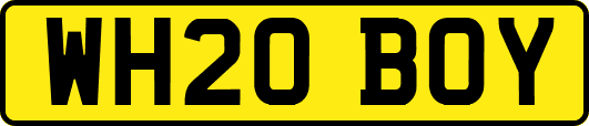 WH20BOY