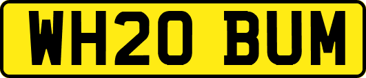 WH20BUM