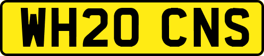 WH20CNS