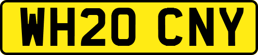 WH20CNY