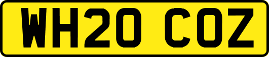 WH20COZ