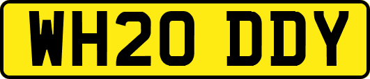 WH20DDY