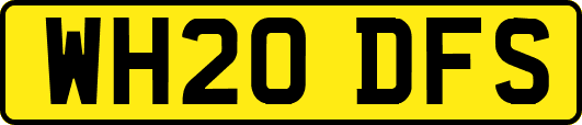 WH20DFS