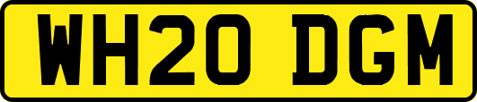 WH20DGM