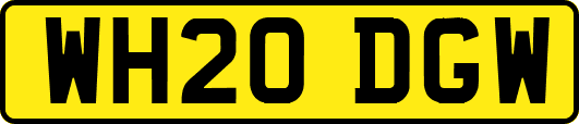 WH20DGW