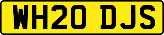 WH20DJS