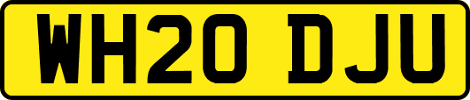WH20DJU