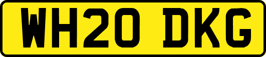 WH20DKG