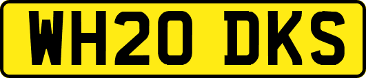 WH20DKS