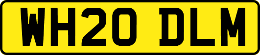 WH20DLM