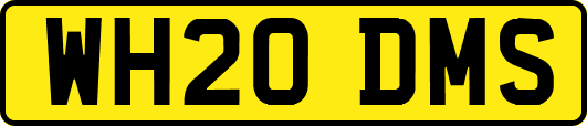 WH20DMS