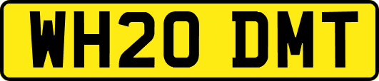WH20DMT