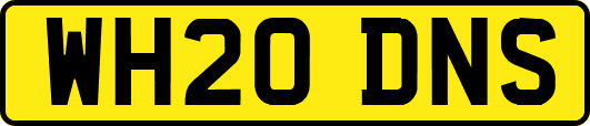 WH20DNS